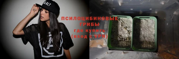 прущие крисы Кулебаки