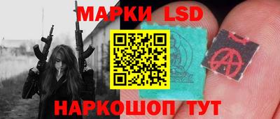 прущие грибы Абакан