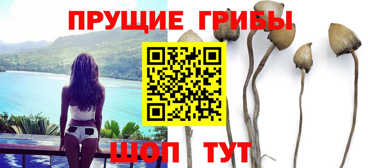 Галлюциногенные грибы прущие грибы Тейково